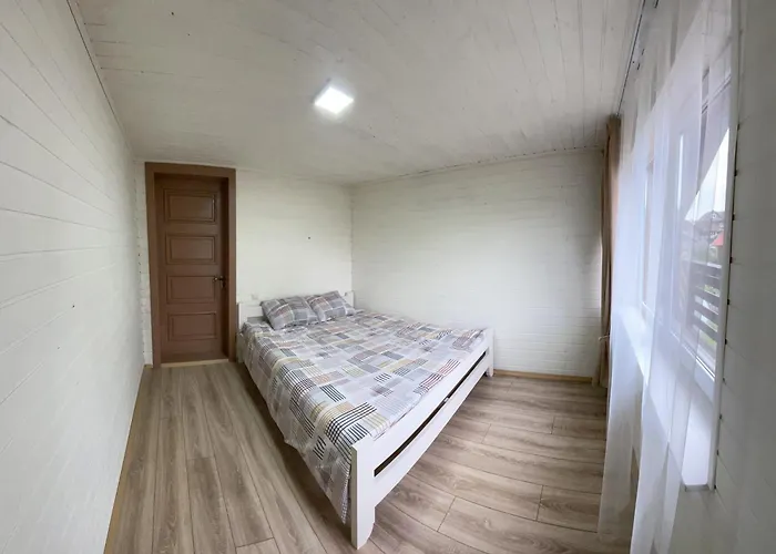 Mini 3*