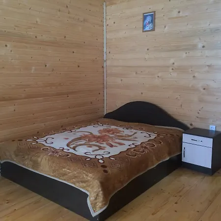 Mini * Yablunytsya