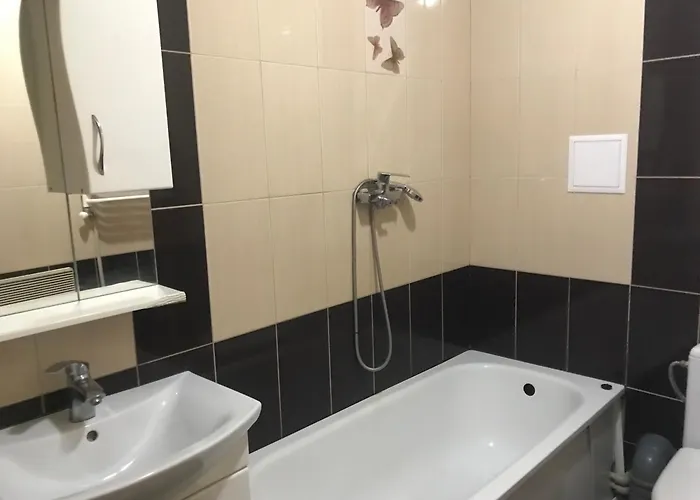 Mini 3*