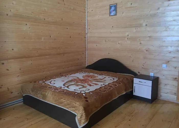 Mini 3* Yablunytsia